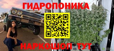 амф Гуково