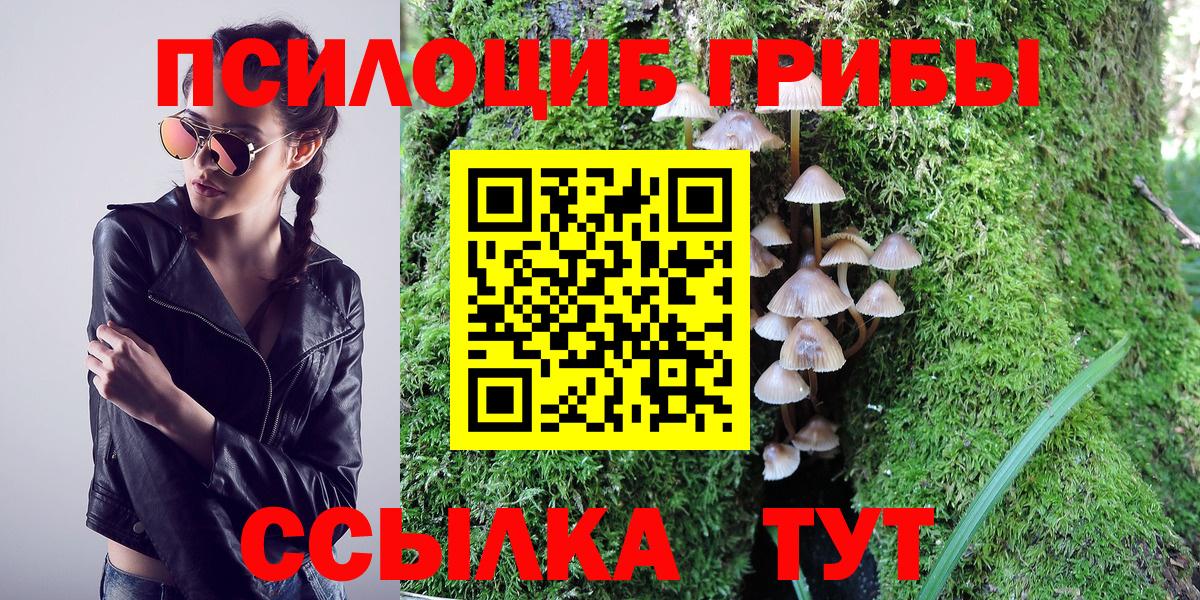 Галлюциногенные грибы Cubensis Белгород