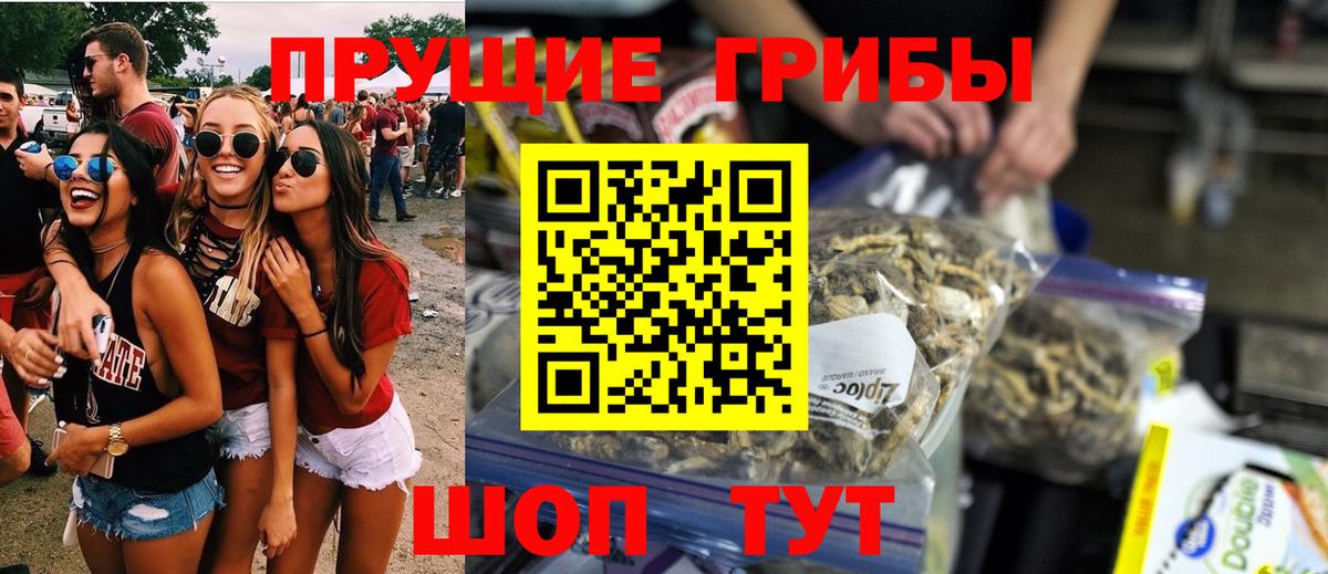 Псилоцибиновые грибы Cubensis  Галлюциногенные грибы Psilocybe  Вход с VPN  Белгород 